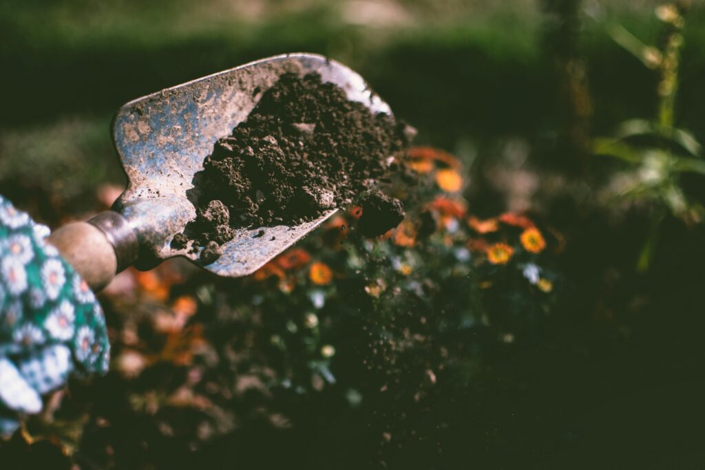 Understanding the Impact of Soil Composition on Foundation Stability: A Guide for Northwest Arkansas Homeowners