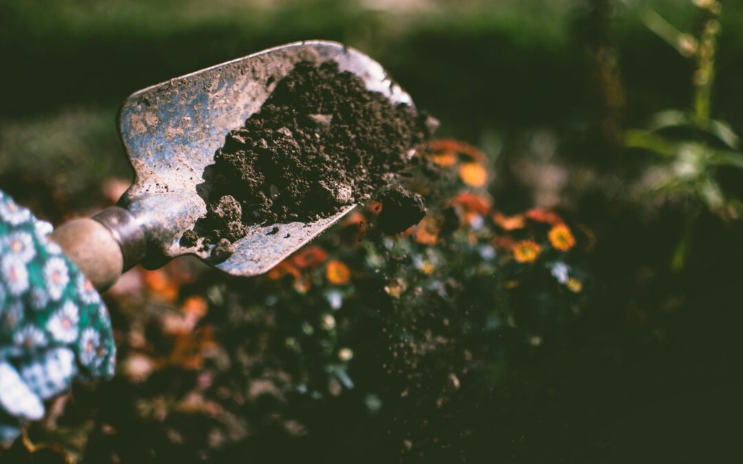 Understanding the Impact of Soil Composition on Foundation Stability: A Guide for Northwest Arkansas Homeowners