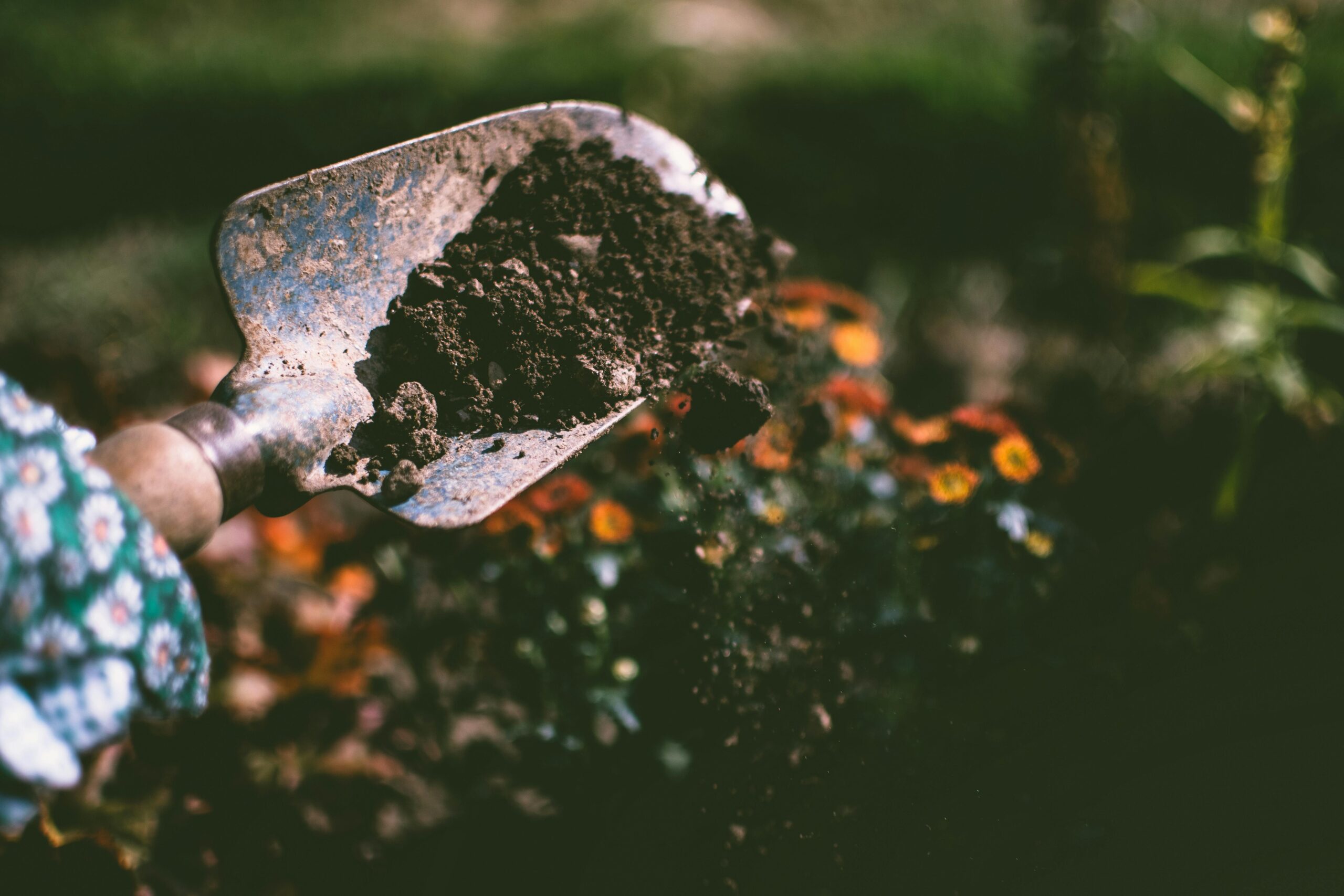 Understanding the Impact of Soil Composition on Foundation Stability: A Guide for Northwest Arkansas Homeowners