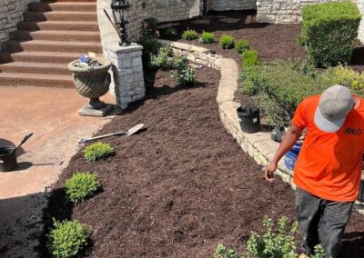 curb appeal landscaping